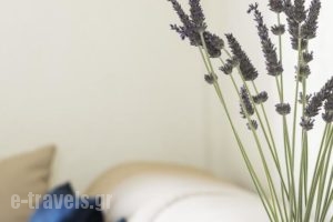 Contaratos Beach Hotel_lowest prices_in_Hotel_Cyclades Islands_Paros_Paros Chora