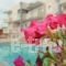 Anna Maria Hotel_travel_packages_in_Crete_Chania_Platanias