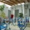 Filenia_holidays_in_Hotel_Piraeus Islands - Trizonia_Hydra_Hydra Chora