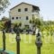 Villa Apollo_accommodation_in_Villa_Epirus_Preveza_Parga