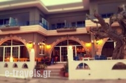 Effie'S Dreams Studios_s __1
