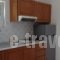 Johannes Apartments_best prices_in_Apartment_Dodekanessos Islands_Rhodes_Lindos