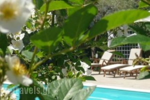 Hotel Avra_accommodation_in_Hotel_Ionian Islands_Lefkada_Lefkada Rest Areas