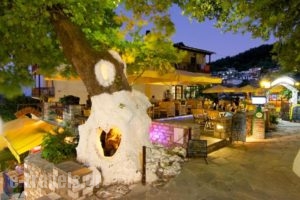 Thassos Inn_holidays_in_Hotel_Aegean Islands_Thasos_Thasos Chora