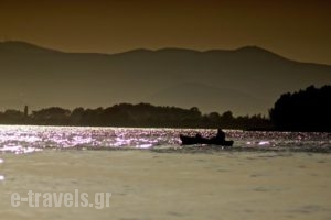 Parisis Studios_holidays_in_Hotel_Thessaly_Magnesia_Milies