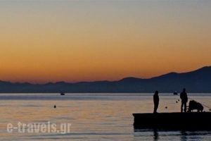 Parisis Studios_best deals_Hotel_Thessaly_Magnesia_Milies