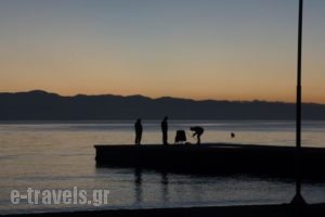 Parisis Studios_best prices_in_Hotel_Thessaly_Magnesia_Milies
