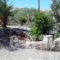 Anessis Studios_holidays_in_Hotel_Aegean Islands_Lesvos_Kalloni