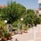 Villa Nufaro_lowest prices_in_Villa_Aegean Islands_Lesvos_Plomari