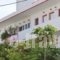Stam & John Apartments_best deals_Apartment_Dodekanessos Islands_Kos_Kos Chora