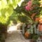 Caviri_travel_packages_in_Cyclades Islands_Syros_Galissas