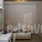 Alafouzos Studios_best prices_in_Hotel_Cyclades Islands_Sandorini_Sandorini Chora
