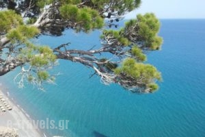 Stefanos Apartments_holidays_in_Apartment_Crete_Lasithi_Ierapetra