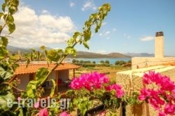 Villa Minoas Apartments_s __1