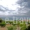 Siviri Rooms_best deals_Room_Macedonia_Halkidiki_Kassandreia