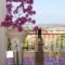 Aristotelis Apartments_accommodation_in_Apartment_Ionian Islands_Kefalonia_Kefalonia'st Areas