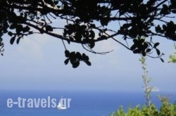 Villa Eliza_s __1