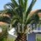 Villa Eliza_lowest prices_in_Villa_Ionian Islands_Kefalonia_Kefalonia'st Areas