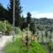 Skyfall Villa_best deals_Villa_Ionian Islands_Lefkada_Sivota