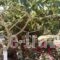 Studios Akrogiali_best deals_Hotel_Thessaly_Magnesia_Pilio Area
