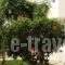 Hotel Tigaki's Star_holidays_in_Hotel_Dodekanessos Islands_Kos_Kos Rest Areas