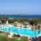 Kalimera Paros_lowest prices_in_Hotel_Cyclades Islands_Paros_Paros Chora