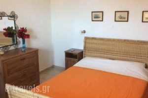 Eriketi Studios_lowest prices_in_Hotel_Piraeus Islands - Trizonia_Aigina_Agia Marina
