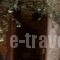The Pounti_accommodation_in_Hotel_Aegean Islands_Chios_Chios Rest Areas