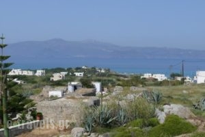 Villa Harmonia_best prices_in_Villa_Cyclades Islands_Naxos_Naxos Chora