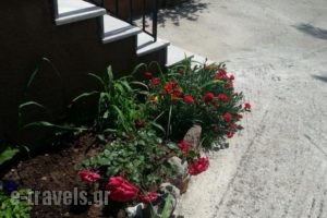 Mr. Greek Villa_holidays_in_Villa_Aegean Islands_Lesvos_Petra