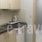 Thess Hostel_best prices_in_Hotel_Macedonia_Thessaloniki_Thessaloniki City