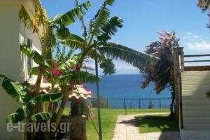 Panorama Beach_best prices_in_Hotel_Thessaly_Magnesia_Pilio Area