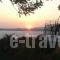 Raymondos Apartments_accommodation_in_Apartment_Ionian Islands_Kefalonia_Argostoli