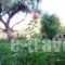 Theodora Studios_best deals_Hotel_Ionian Islands_Corfu_Moraitika