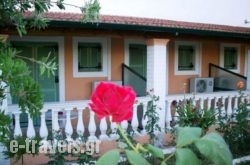 Theodora Studios_s __1