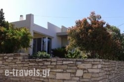 Niki'S House_s __1
