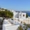 Flaskos Studios_best prices_in_Hotel_Cyclades Islands_Mykonos_Mykonos ora