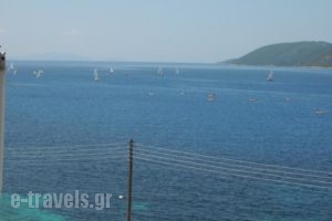 Dimitris Apartments_accommodation_in_Apartment_Ionian Islands_Lefkada_Lefkada Rest Areas