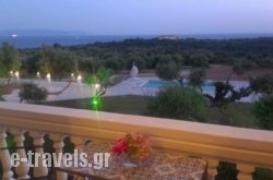 Elaias Gi Residence_s __1