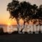 Studios Petra_travel_packages_in_Cyclades Islands_Naxos_Naxos chora