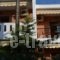 Villa Maria 2_best deals_Villa_Macedonia_Halkidiki_Sykia