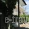 Litsa Haus_best deals_Hotel_Macedonia_Thessaloniki_Thessaloniki City