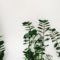 M For Mykonos_travel_packages_in_Cyclades Islands_Mykonos_Mykonos ora