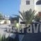 Marina's Studios_lowest prices_in_Hotel_Cyclades Islands_Sandorini_Fira