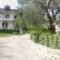 Viki Studios and Apartments_travel_packages_in_Aegean Islands_Thassos_Limenaria