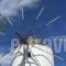 Milos Villas_lowest prices_in_Villa_Cyclades Islands_Sandorini_Fira