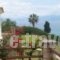 Panorama Beach_travel_packages_in_Thessaly_Magnesia_Pilio Area