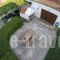 Melrose_lowest prices_in_Hotel_Sporades Islands_Skopelos_Skopelos Chora