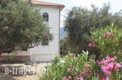 Kavoulakos Studios_s __1