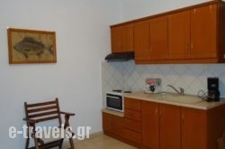 Villa Tsitreli_s __2